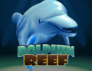 ninegames_dolphin_reef 棋牌游戏娱乐海豚乐园